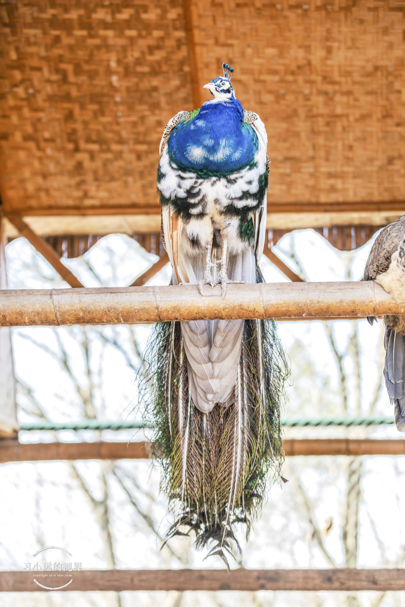 合肥万佛湖二日游攻略,合肥市区旅游攻略一日游