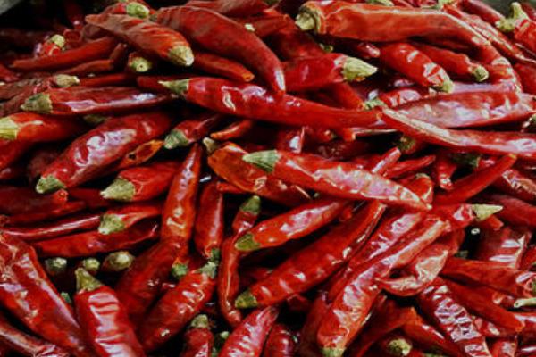 各种干辣椒品种哪种香,各种干辣椒品种和特点