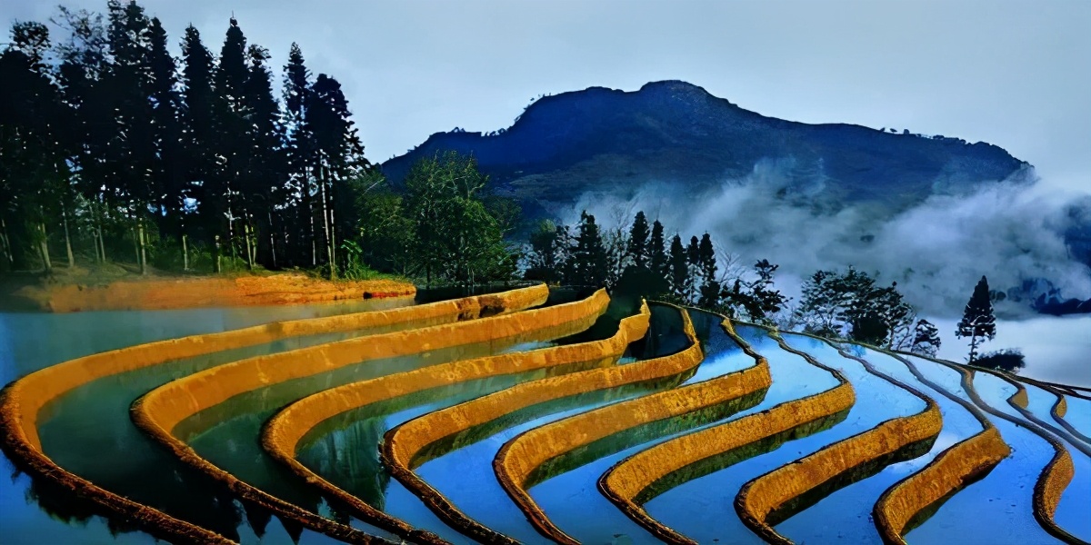 布谷飞飞劝早耕，舂锄扑扑趁春晴
