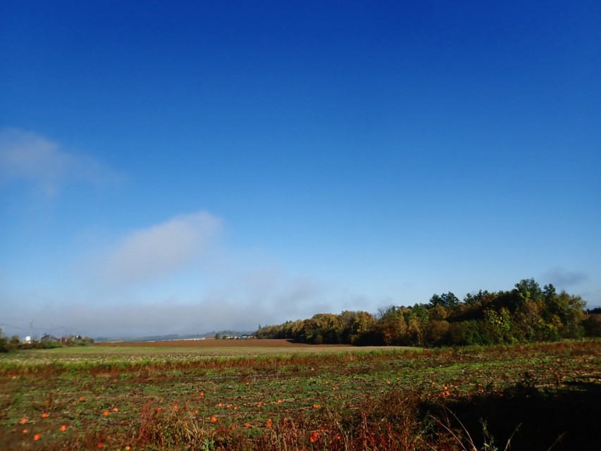 北海道登别到美瑛町需多久,日本北海道美瑛川的雪景