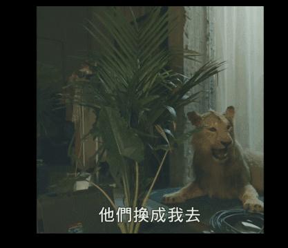 100个经典死亡故事,关于生命和死亡的故事