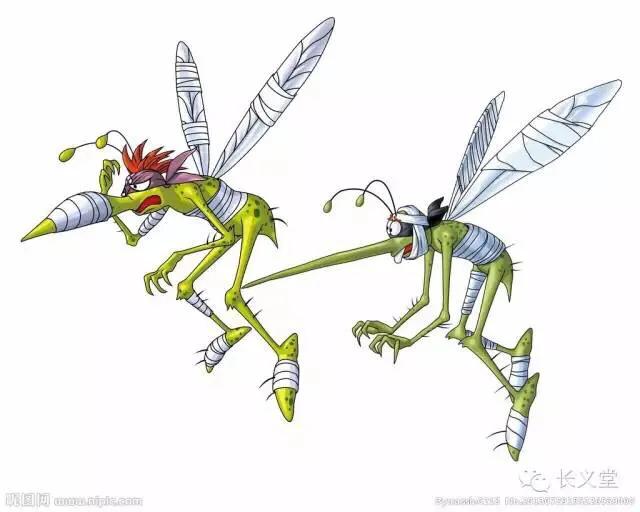 能够驱散蚊虫的花草,驱除蚊虫的花草