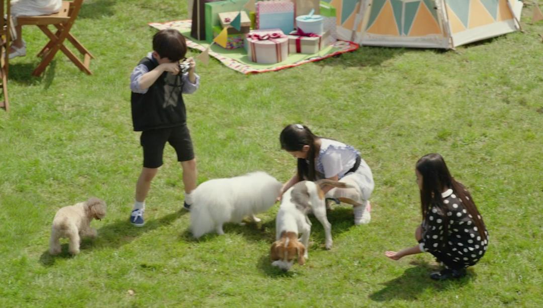 高端家教一个月收入,我在豪门当保姆