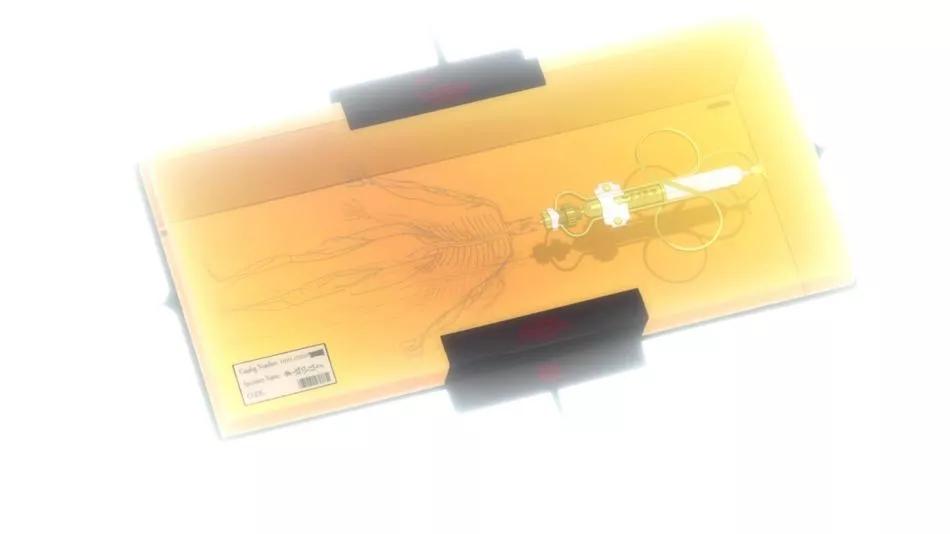 eva五个角色选谁,eva角色含义