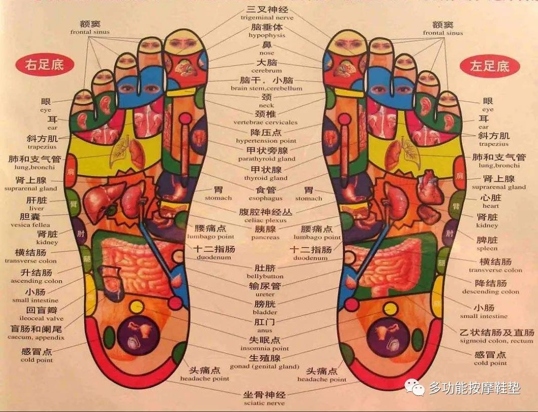 怎么买多功能按摩鞋垫,按摩鞋垫的功效