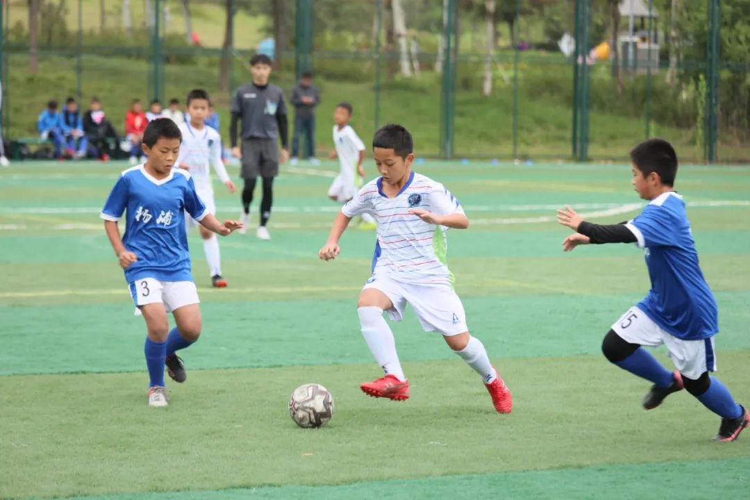 2023青俱杯上海申花u12vs上海幸运星,第二届青歌赛获奖盛典