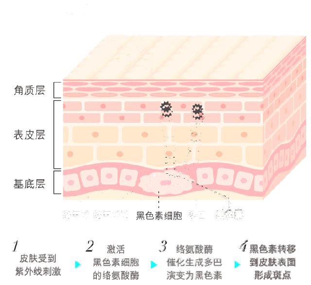 日本的美白针,日本最强美白针