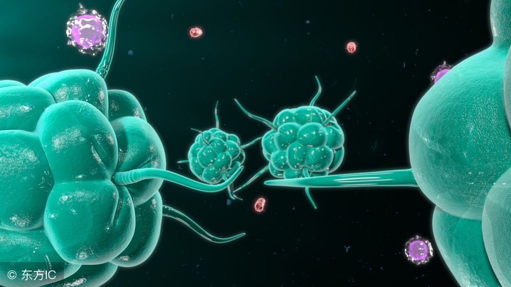 查出肿瘤标志物升高，就一定是癌症吗？