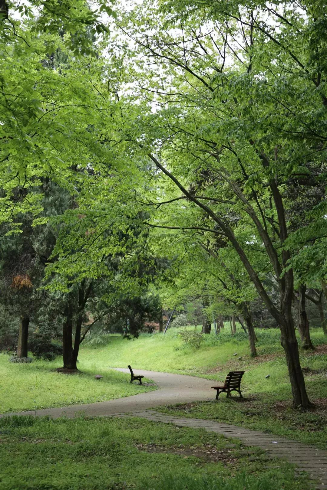 来杭州不知道做什么,来杭州不去哪里遗憾