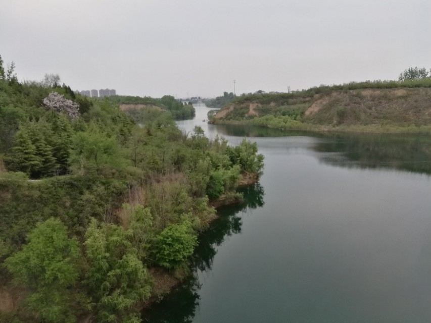 郑州树木园最新视频,郑州树木园现状