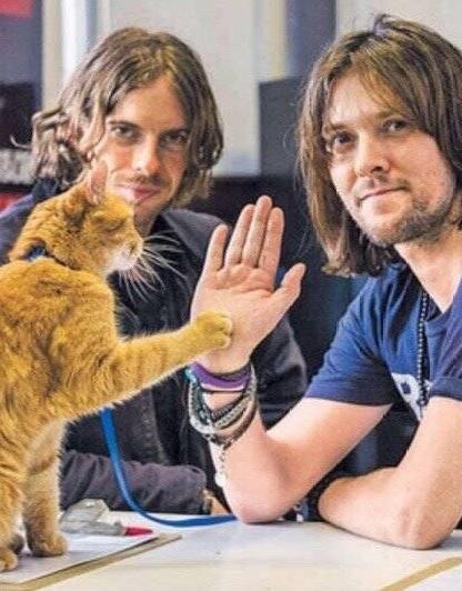 流浪猫鲍勃的主人现在还活着吗,流浪猫鲍勃橘猫原型