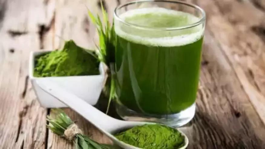 大麦若叶青汁抗癌有什么效果,大麦青汁有排毒清肠的作用吗