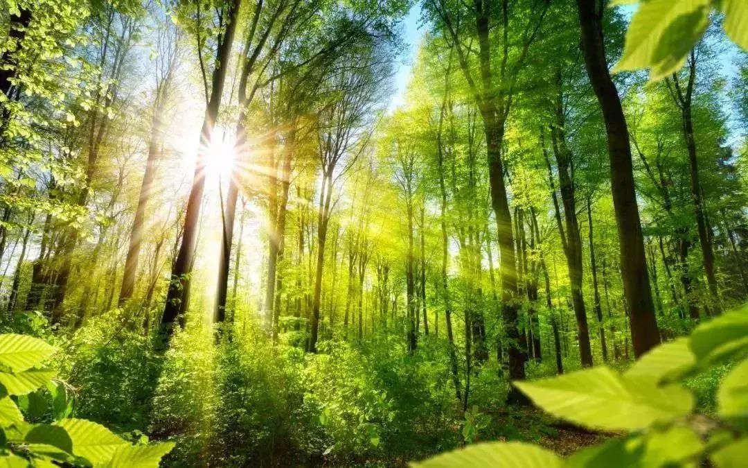 韶关云天海温泉推荐,韶关新丰云天海温泉酒店介绍