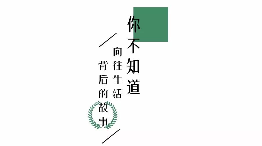 我们在距芜湖70公里的古坝村,找到了向往的生活