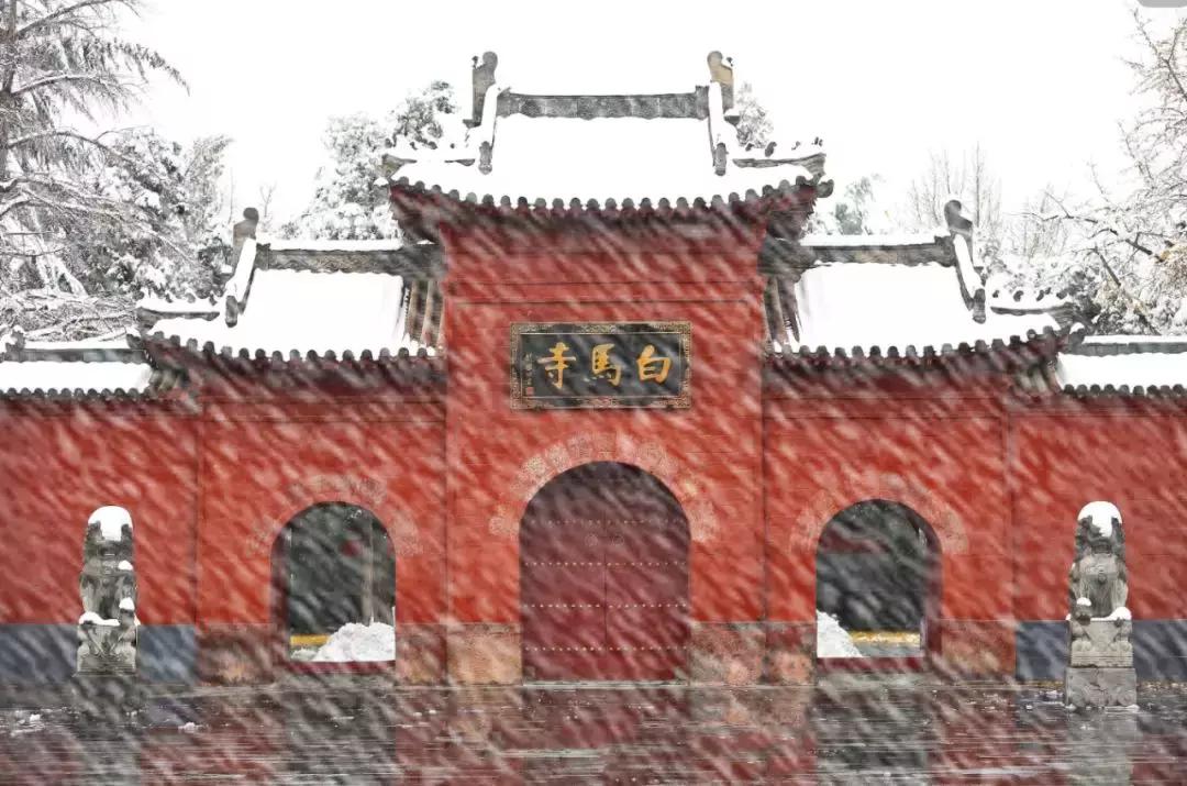 中国河南省,中国河南最吓人的暴雨视频