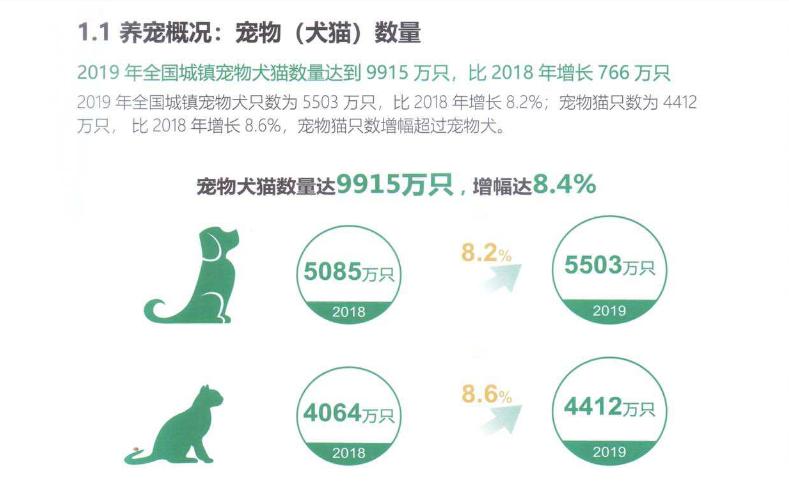 男生初次养猫养公猫还是母猫,初次养猫是公猫好还是母猫好