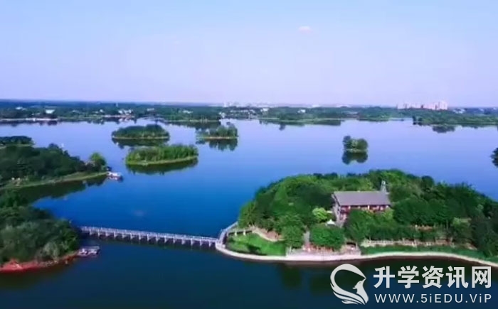 小学心理健康教育教师招聘资料,成都市心理教师招聘