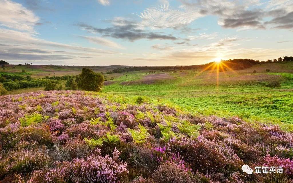 无灵主语句的用法,无灵主语句的教学效果