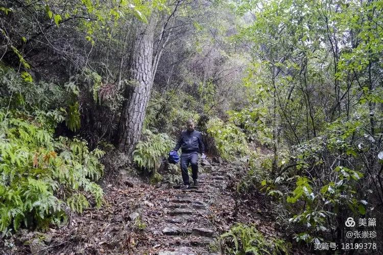 泰顺葛洋陶氏三兄弟修建的三条古道，等你来打卡～