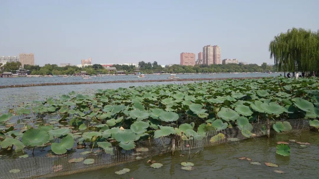 济南方特游玩攻略,去印象济南游玩日记