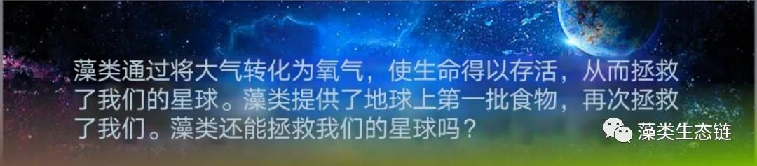 藻类提取物护肤,藻类提取物护肤品