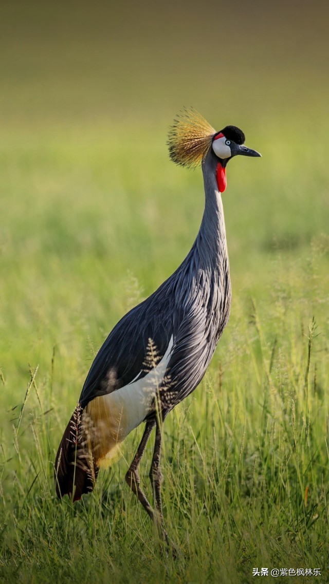 请友对；往日相思今日了