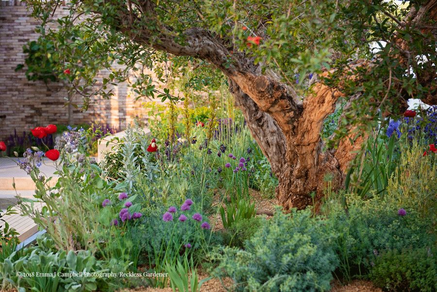 英国央行紧急降息通知,英国紧急降息最新消息