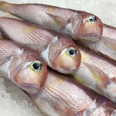 海南海边码头海鲜,海南海鲜开海