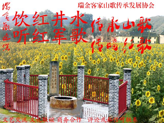 瑞金市比赛,瑞金运动会比赛