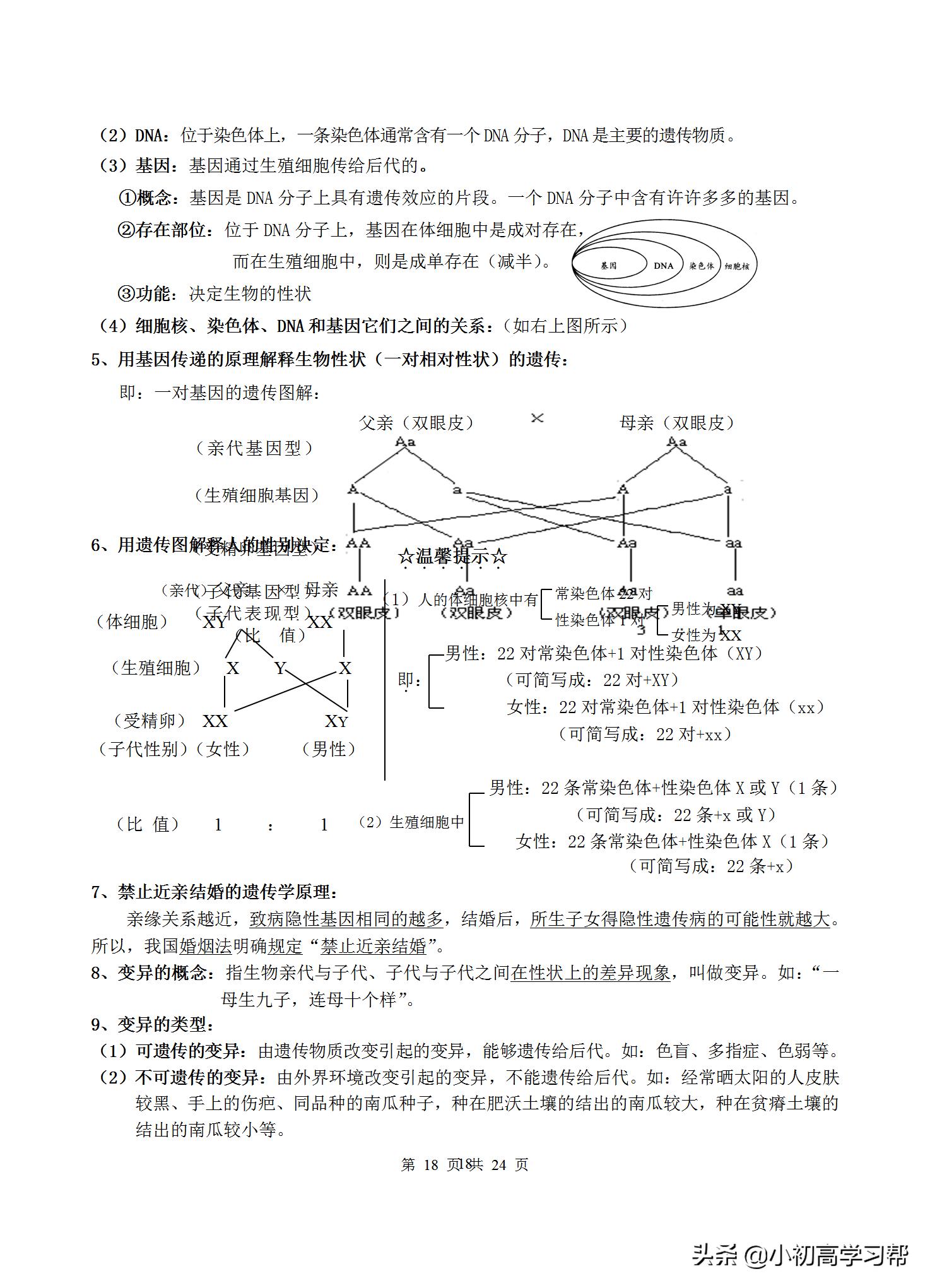 中考生物复习资料大全免费,2022中考生物必考知识点总结