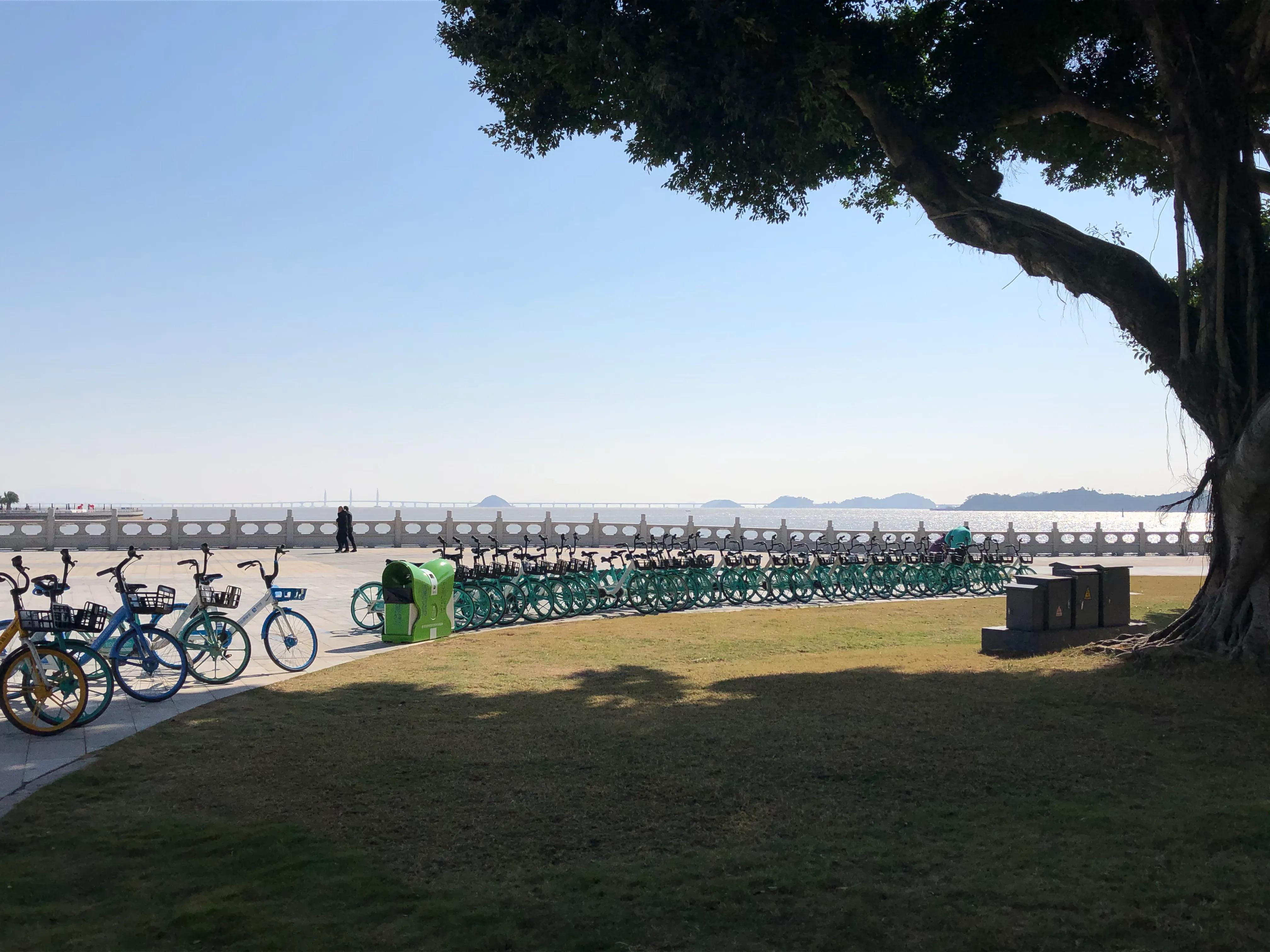 珠海野狸岛要门票吗,春节珠海野狸岛旅游