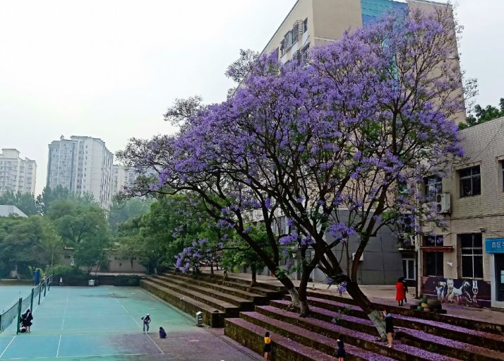 易烊千玺王俊凯王源说重庆话,重庆易烊千玺去过的地方