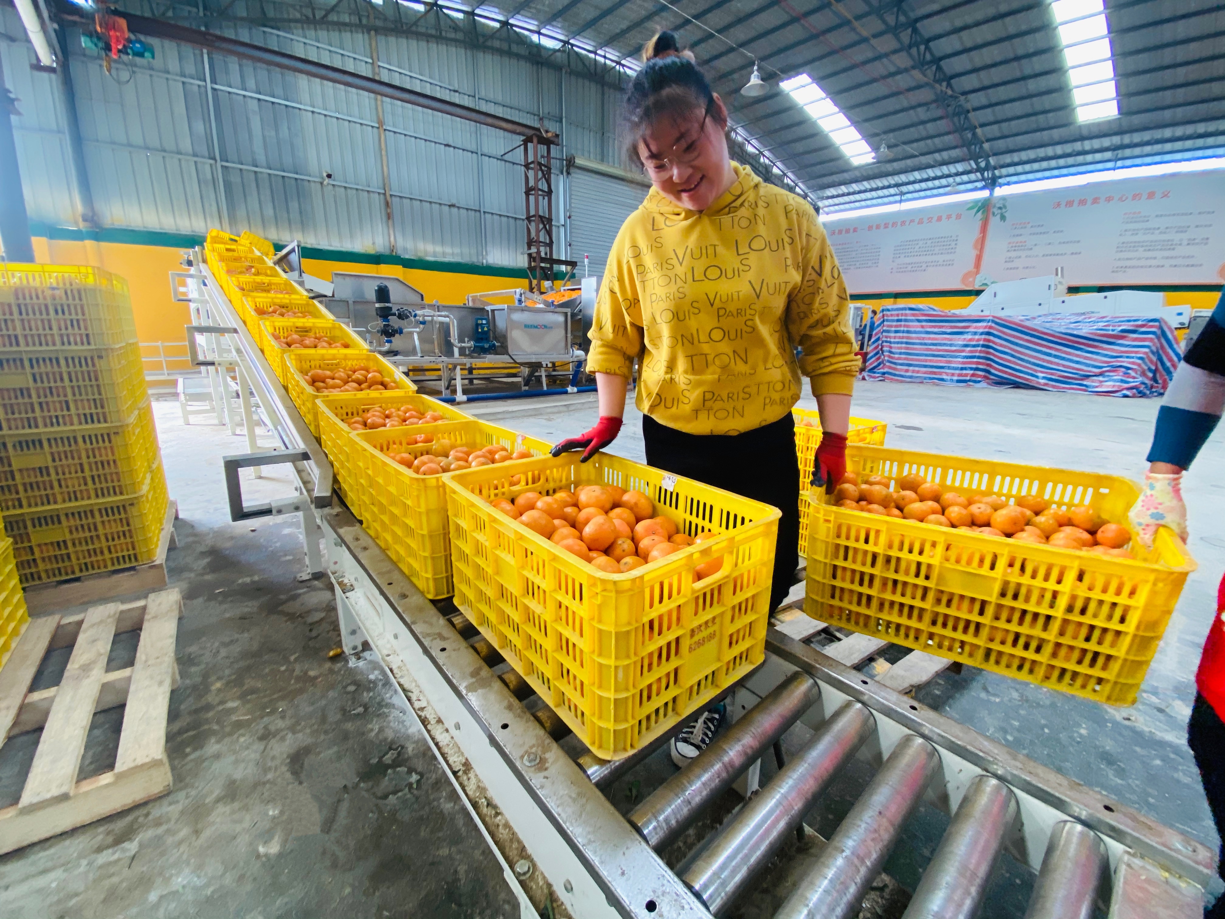 壮乡“幸福果”热销全国，美团优选将助力更多“广西好嘢”触网