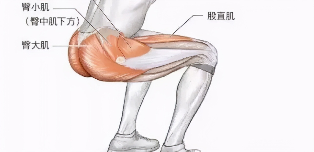 硬核腿部锻炼,硬核练腿的正确方法