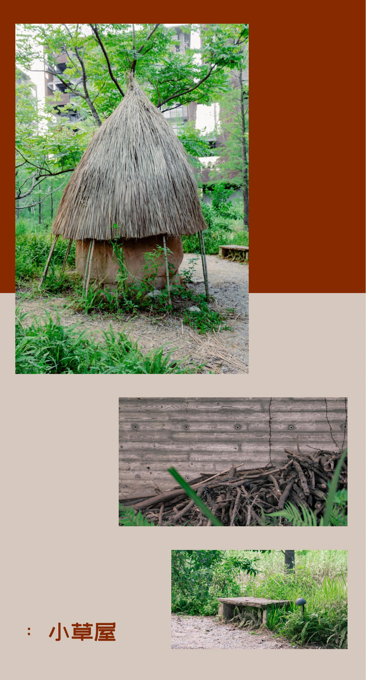 深圳风景最好的岛,深圳有个什么旅游岛