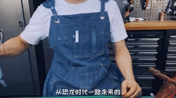 如何灭绝室内蟑螂虫卵,消除老房子蟑螂的方法