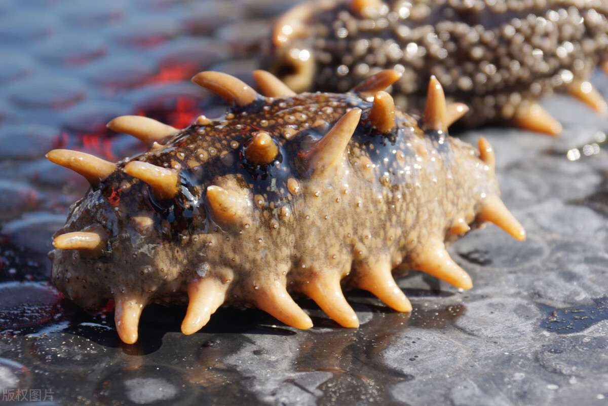 大连有多好玩,大连有什么好玩的景观