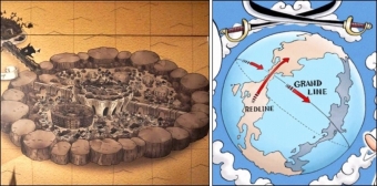 世界之王伊姆,世界之王伊姆吃的是什么果实