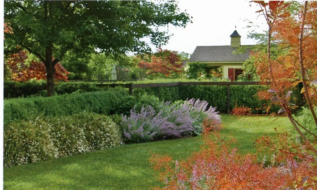 庭院设计不破坏地砖,庭院设计无绿植