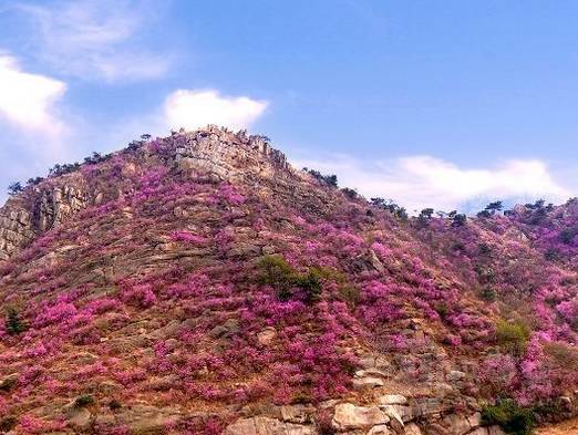 西海岸新区下一个浦东,青岛市西海岸新区发展趋势