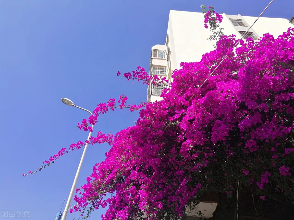 当你老了不能自理了,老人能自理却像废物一样让人伺候