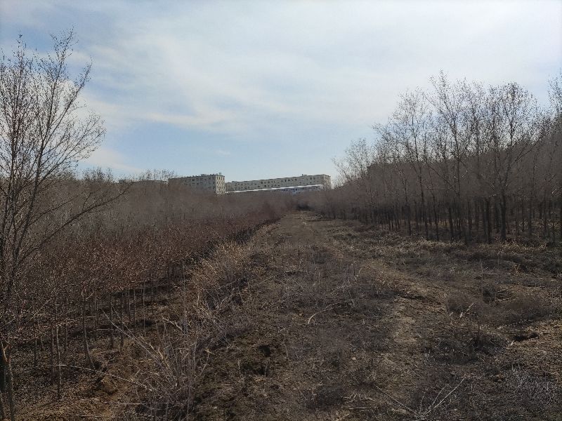 乌鲁木齐免费玩的地方运动场地,乌鲁木齐游玩适合烧烤的地方