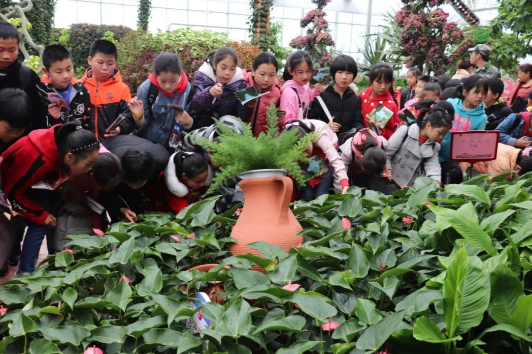 益阳有哪些适合踏春的地方,益阳附近踏春好去处