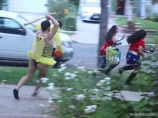 一进门就看见小蜜蜂在追着神奇女侠