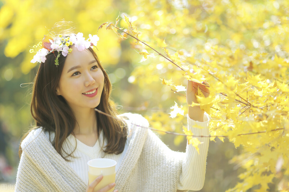 搞笑gif动图集合图,搞笑gif动图素材