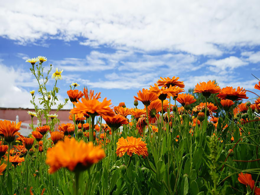 金银滩达玉部落天气,金银滩达玉部落门票