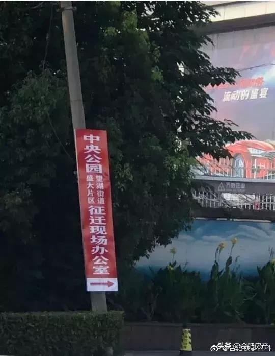 重磅！合肥中央公园*迁拆**工作已经启动！大小堪比10个天鹅湖