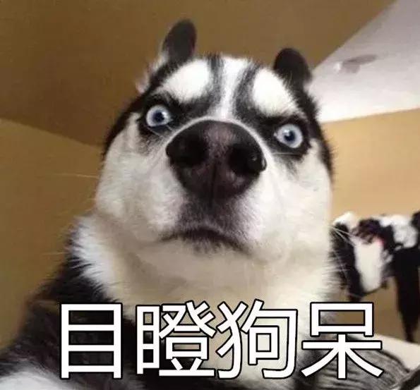 广东茂名一宝马女司机被打,女子连打10小时麻将后出事了