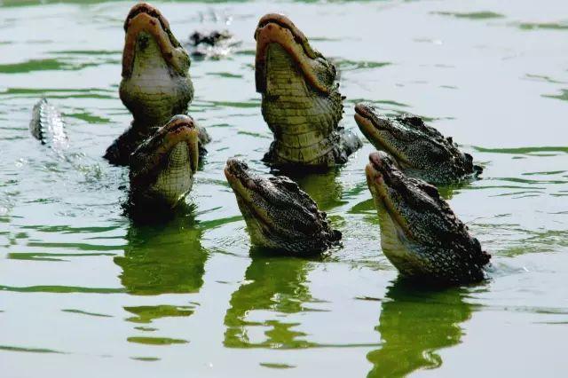 皖南川藏线自驾游攻略三天两夜,皖南川藏线深秋自驾游攻略最新版