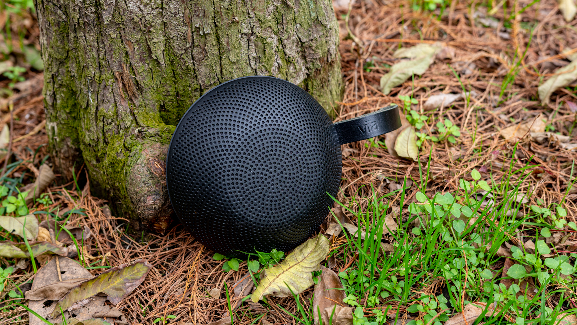 雷克雅未克蓝牙音箱评测,vifa雷克雅未克防水吗